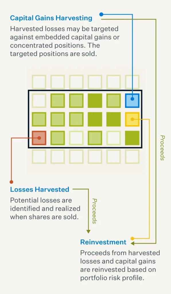 Tax Loss Harvesting