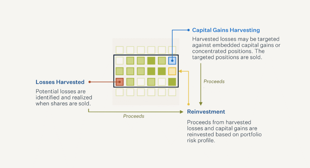 Tax Loss Harvesting